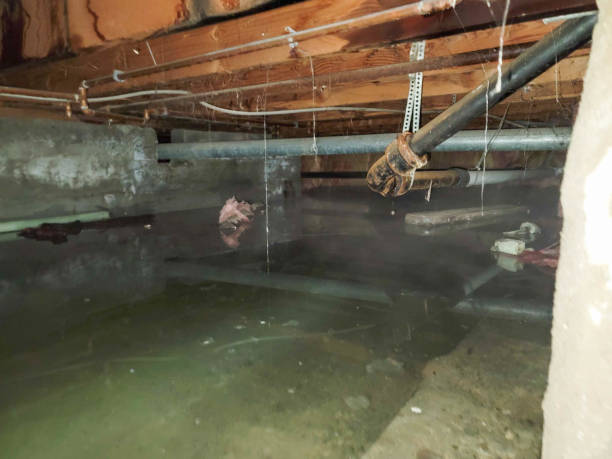 Best Flood restoration services  in Grangeville, ID