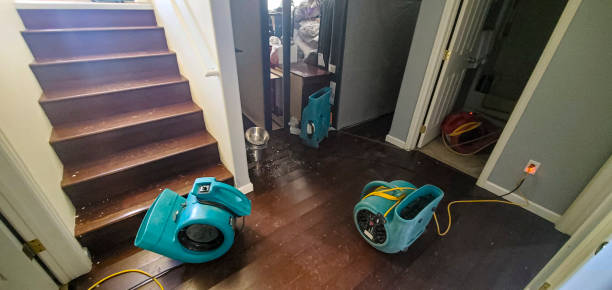Best Water damage restoration near me  in Grangeville, ID