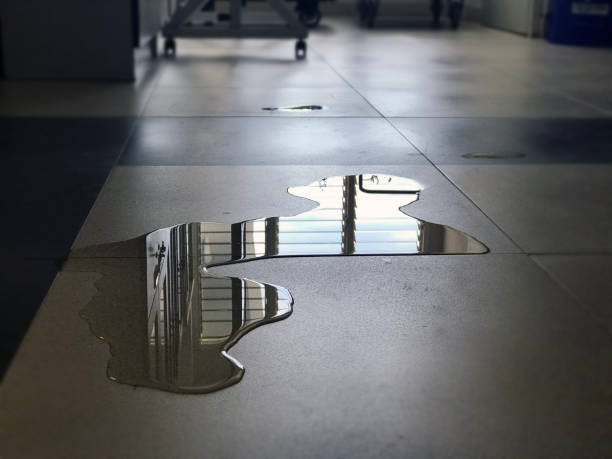 Best Water damage contractors near me  in Grangeville, ID